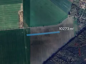 Prodej podílu pole, Nový Ples, 2568 m2