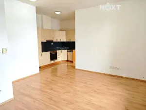 Pronájem bytu 3+kk, Černý Důl, 62 m2