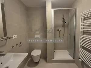 Pronájem bytu 1+kk, Slavkov u Brna, 31 m2