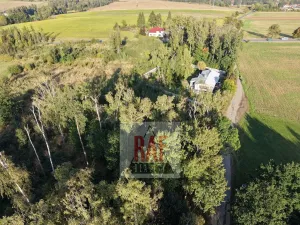 Prodej lesa, Sazomín, 11295 m2