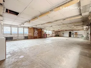 Pronájem výrobních prostor, Praha - Zbraslav, 463 m2