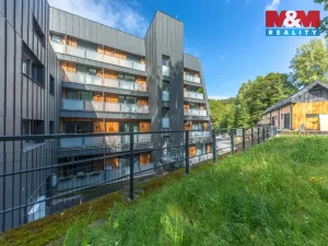 Prodej bytu 1+kk, Janov nad Nisou, 29 m2