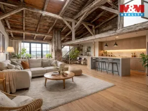 Prodej činžovního domu, Frýdek-Místek - Frýdek, Radniční, 300 m2