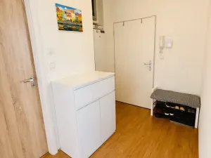 Pronájem bytu 2+1, Brno, Srbská, 53 m2