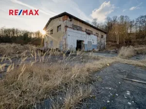 Prodej komerčního pozemku, Zákupy, 29159 m2