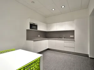 Pronájem kanceláře, Brno, Jana Babáka, 319 m2