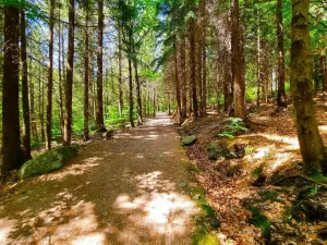 Prodej pozemku, Desná - Desná I, Údolní, 1668 m2