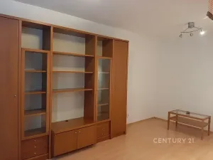 Pronájem bytu 1+kk, Praha - Libeň, Kurta Konráda, 29 m2