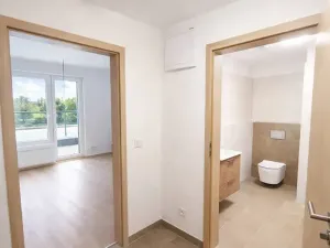 Pronájem bytu 1+kk, Plav, 40 m2