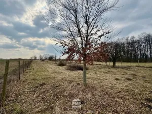 Prodej louky, Cetkovice, 3195 m2