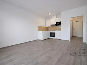 Pronájem bytu 1+kk, Olomouc, Eduarda Hamburgera, 27 m2