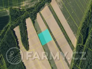 Prodej pole, Věžky, 63026 m2