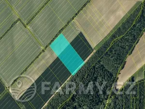Prodej pole, Věžky, 63026 m2