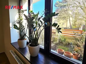 Pronájem bytu 2+kk, Praha - Břevnov, U Ladronky, 50 m2