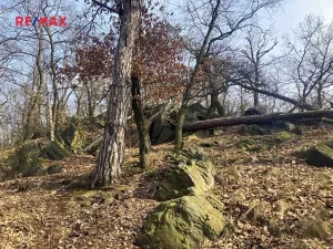 Prodej pole, Číčovice, 6121 m2