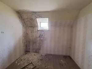 Prodej rodinného domu, Dlouhá Loučka, Valšův Důl, 195 m2