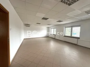 Pronájem kanceláře, Brno, 167 m2