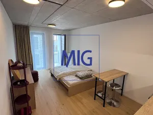 Pronájem bytu 1+kk, Brno, Bratislavská, 31 m2