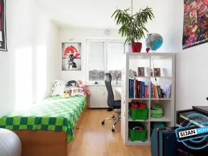 Pronájem bytu 2+1, Vítkov, Budišovská, 48 m2