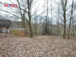 Prodej zahrady, Havířov, 1256 m2