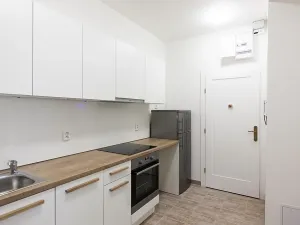 Pronájem bytu 2+1, Praha - Bubeneč, U zeměpisného ústavu, 46 m2