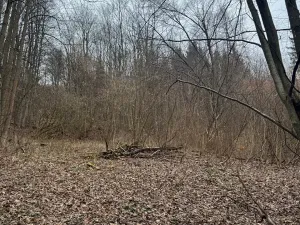 Prodej lesa, Huslenky, 29988 m2