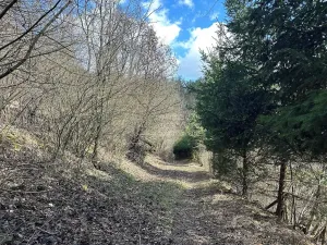 Prodej chaty, Mořina, 38 m2