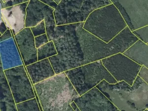 Prodej lesa, Plavy, 32050 m2