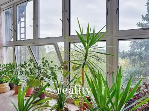 Prodej rodinného domu, Znojmo, 480 m2