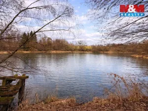 Prodej komerčního pozemku, Křečovice - Vlkonice, 68525 m2