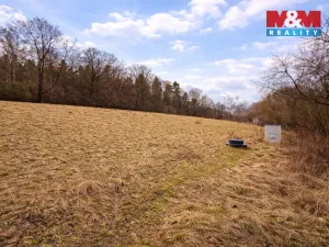 Prodej pozemku pro bydlení, Křečovice - Vlkonice, 68525 m2