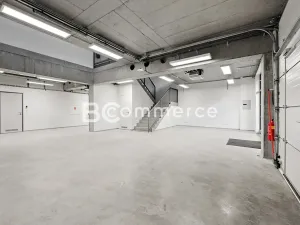 Pronájem obchodního prostoru, Brno, Svatopetrská, 203 m2