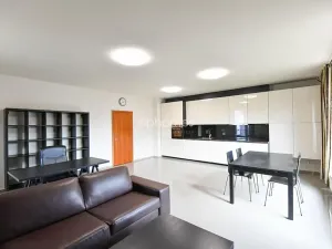 Pronájem bytu 2+kk, Praha - Bubeneč, Mlýnská, 78 m2