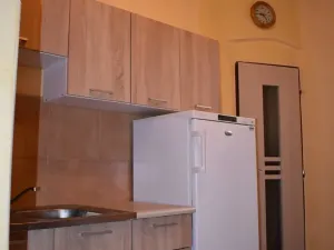 Dražba bytu 6+kk a větší, Praha - Vršovice, Slovinská, 280 m2