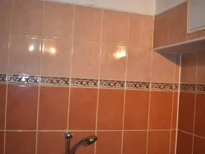 Dražba bytu 6+kk a větší, Praha - Vršovice, Slovinská, 280 m2