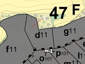 Dražba lesa, Sýkořice, 8962 m2