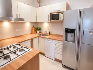 Prodej bytu 2+1, Brno, Rybářská, 72 m2