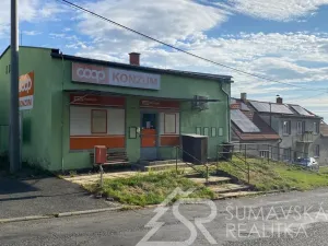 Prodej obchodního prostoru, Zborovy, 233 m2