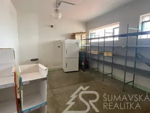 Prodej obchodního prostoru, Zborovy, 233 m2