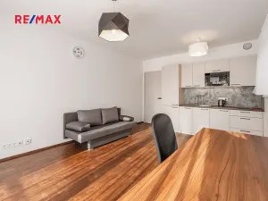 Pronájem bytu 1+kk, Praha - Chodov, Šternovská, 30 m2