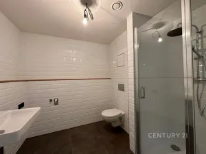 Prodej bytu 1+kk, Praha - Vysočany, Kolbenova, 42 m2