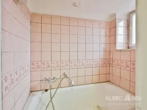 Prodej rodinného domu, Tábor, V Krátké, 210 m2