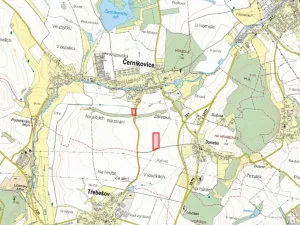 Prodej pole, Černíkovice, 7381 m2