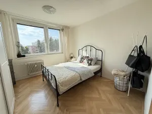 Pronájem bytu 2+1, Brno, Pěkná, 46 m2