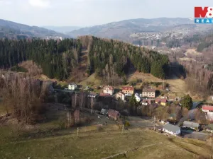 Prodej komerční nemovitosti, Plavy, 180 m2