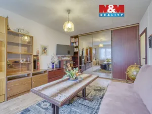 Pronájem bytu 1+1, Plzeň, Železničářská, 41 m2