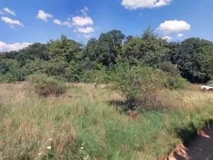 Pronájem zahrady, Líšnice, 7027 m2