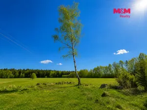 Prodej chalupy, Benešov nad Černou - Klení, 85 m2