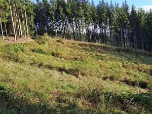 Prodej lesa, Zlín, 152613 m2