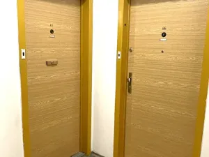 Pronájem bytu 1+kk, Praha - Chodov, Nad Opatovem, 30 m2